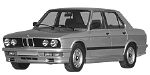 BMW E28 P255A Fault Code