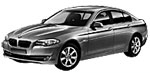 BMW F10 P255A Fault Code
